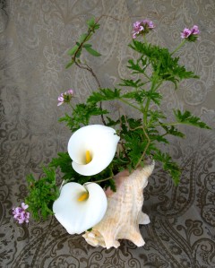 Free style arrangement, conch with Calla lilies and geraniums, 2011